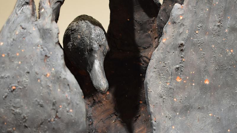 Изложба -  Ефекат црног лабуда,  Ксенија Поповић