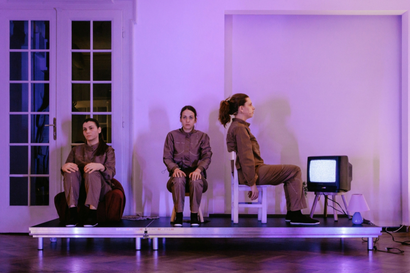 ЈОАКИМОВИ ДАНИ Позоришна ревија у част домаћег писца СВЕ ДОБРЕ БАРБИКЕ 